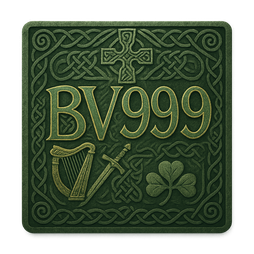 BV999 انسٹالیشن کے بعد لاگ اِن اسکرین